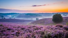 Desktop wallpaper. Nature. ID:141196