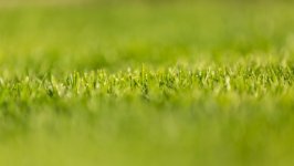 Desktop wallpaper. Nature. ID:141197