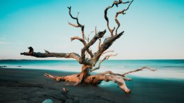 Desktop wallpaper. Nature. ID:141575
