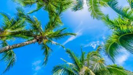 Desktop wallpaper. Nature. ID:141660