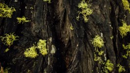 Desktop wallpaper. Nature. ID:141905
