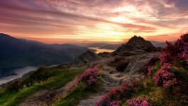 Desktop wallpaper. Nature. ID:142240