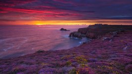 Desktop wallpaper. Nature. ID:142350
