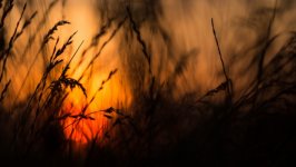 Desktop wallpaper. Nature. ID:142405
