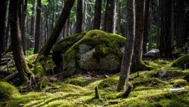 Desktop wallpaper. Nature. ID:142612