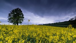 Desktop wallpaper. Nature. ID:142765