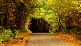 Desktop wallpaper. Nature. ID:142802