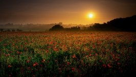 Desktop wallpaper. Nature. ID:142841