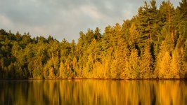 Desktop wallpaper. Nature. ID:143005