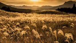 Desktop wallpaper. Nature. ID:143135
