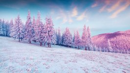 Desktop image. Nature. ID:143185
