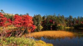 Desktop wallpaper. Nature. ID:143505