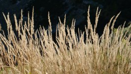 Desktop wallpaper. Nature. ID:143730