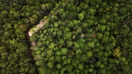 Desktop wallpaper. Nature. ID:143760