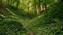 Desktop wallpaper. Nature. ID:144045