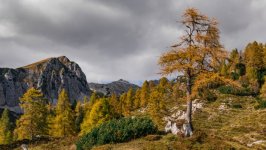 Desktop wallpaper. Nature. ID:144234