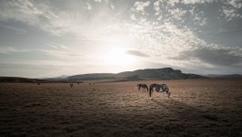 Desktop image. Nature. ID:144846