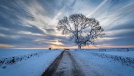 Desktop image. Nature. ID:145114