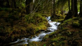 Desktop wallpaper. Nature. ID:145249