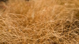 Desktop wallpaper. Nature. ID:145252