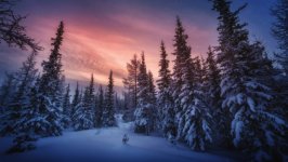 Desktop wallpaper. Nature. ID:145464