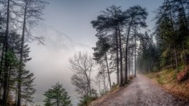Desktop wallpaper. Nature. ID:146131