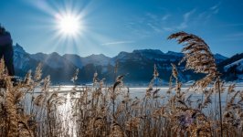 Desktop wallpaper. Nature. ID:146137