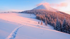 Desktop wallpaper. Nature. ID:146188