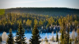 Desktop wallpaper. Nature. ID:146600