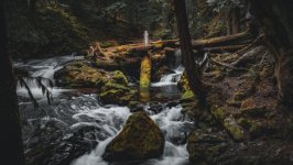 Desktop wallpaper. Nature. ID:146686