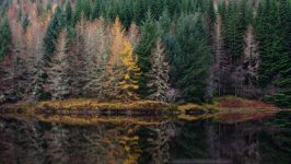 Desktop wallpaper. Nature. ID:146814