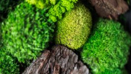 Desktop wallpaper. Nature. ID:147096