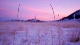 Desktop wallpaper. Nature. ID:147172