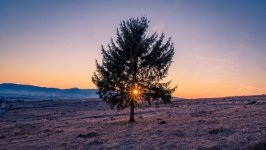 Desktop wallpaper. Nature. ID:147299