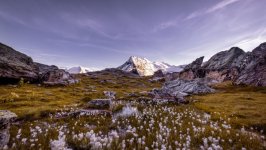 Desktop wallpaper. Nature. ID:147342