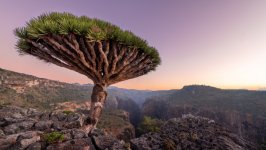 Desktop wallpaper. Nature. ID:147363