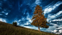 Desktop wallpaper. Nature. ID:147724