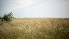 Desktop wallpaper. Nature. ID:148568