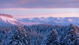 Desktop wallpaper. Nature. ID:148611