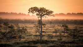 Desktop wallpaper. Nature. ID:148829