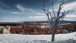 Desktop wallpaper. Nature. ID:149091