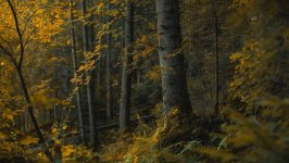 Desktop wallpaper. Nature. ID:149718
