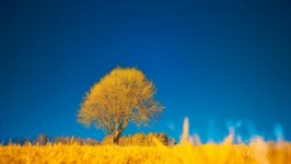 Desktop wallpaper. Nature. ID:149961