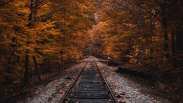 Desktop wallpaper. Nature. ID:150005