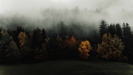 Desktop image. Nature. ID:150981