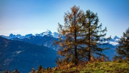 Desktop wallpaper. Nature. ID:151364