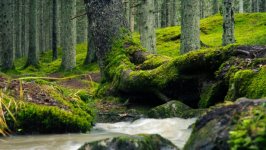 Desktop wallpaper. Nature. ID:151384