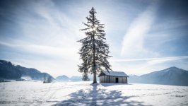 Desktop wallpaper. Nature. ID:151425