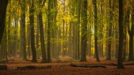 Desktop wallpaper. Nature. ID:151611