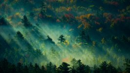 Desktop wallpaper. Nature. ID:152578